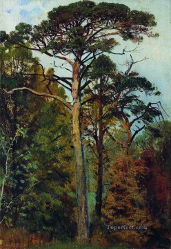 Artworks in 150 Subjects Painting - pines classical landscape Ivan Ivanovich forest